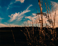 电话轰炸机网页版