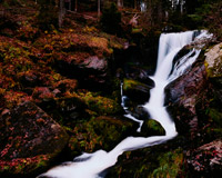 电话轰炸在线免费