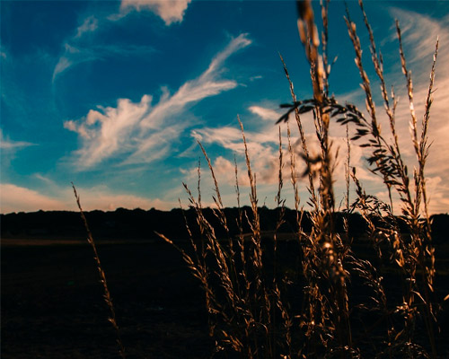 电话轰炸在线免费