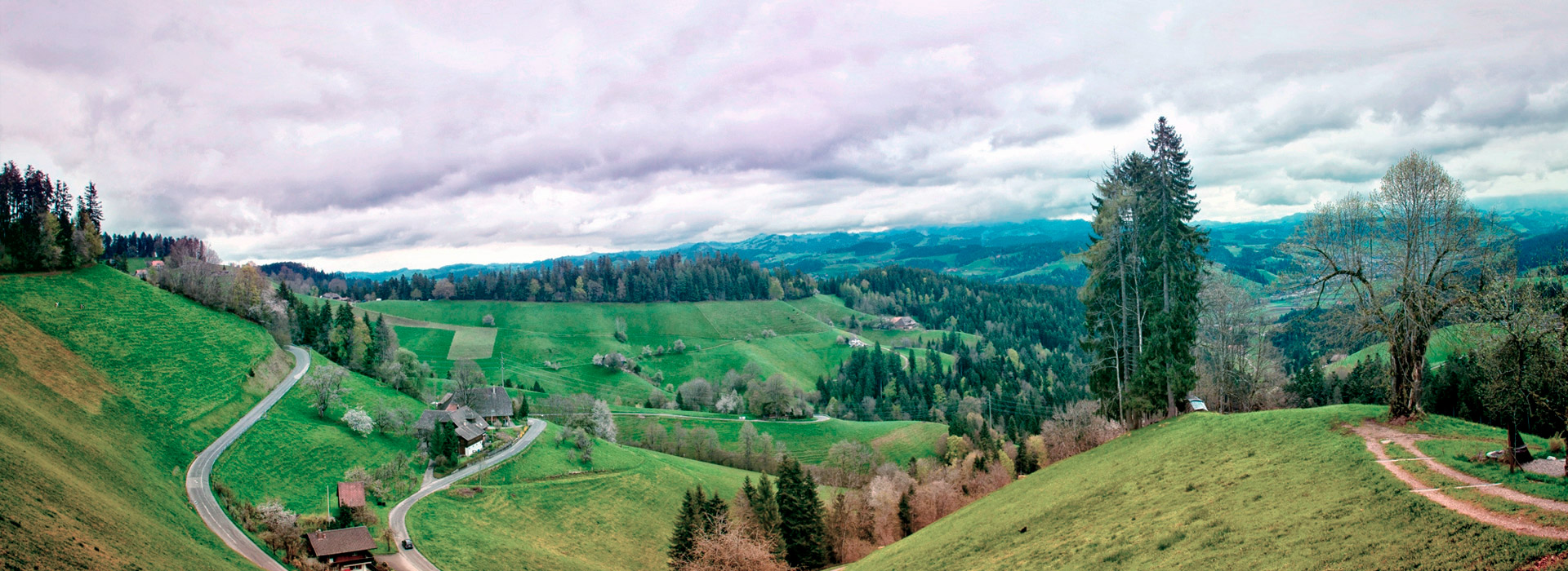 智能数据分析的电话轰炸在线